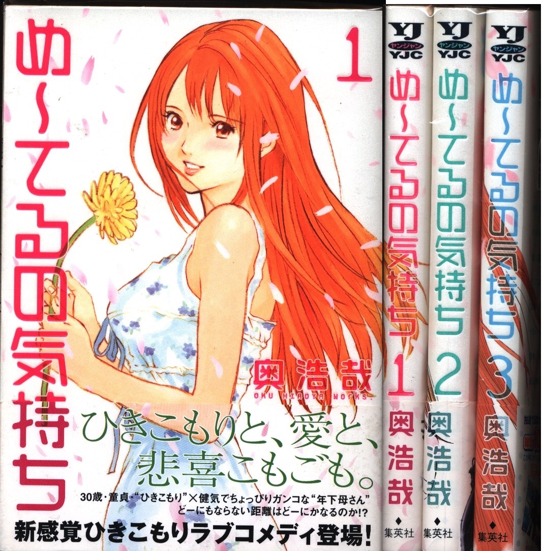 奥浩哉 め てるの気持ち 全3巻 セット まんだらけ Mandarake