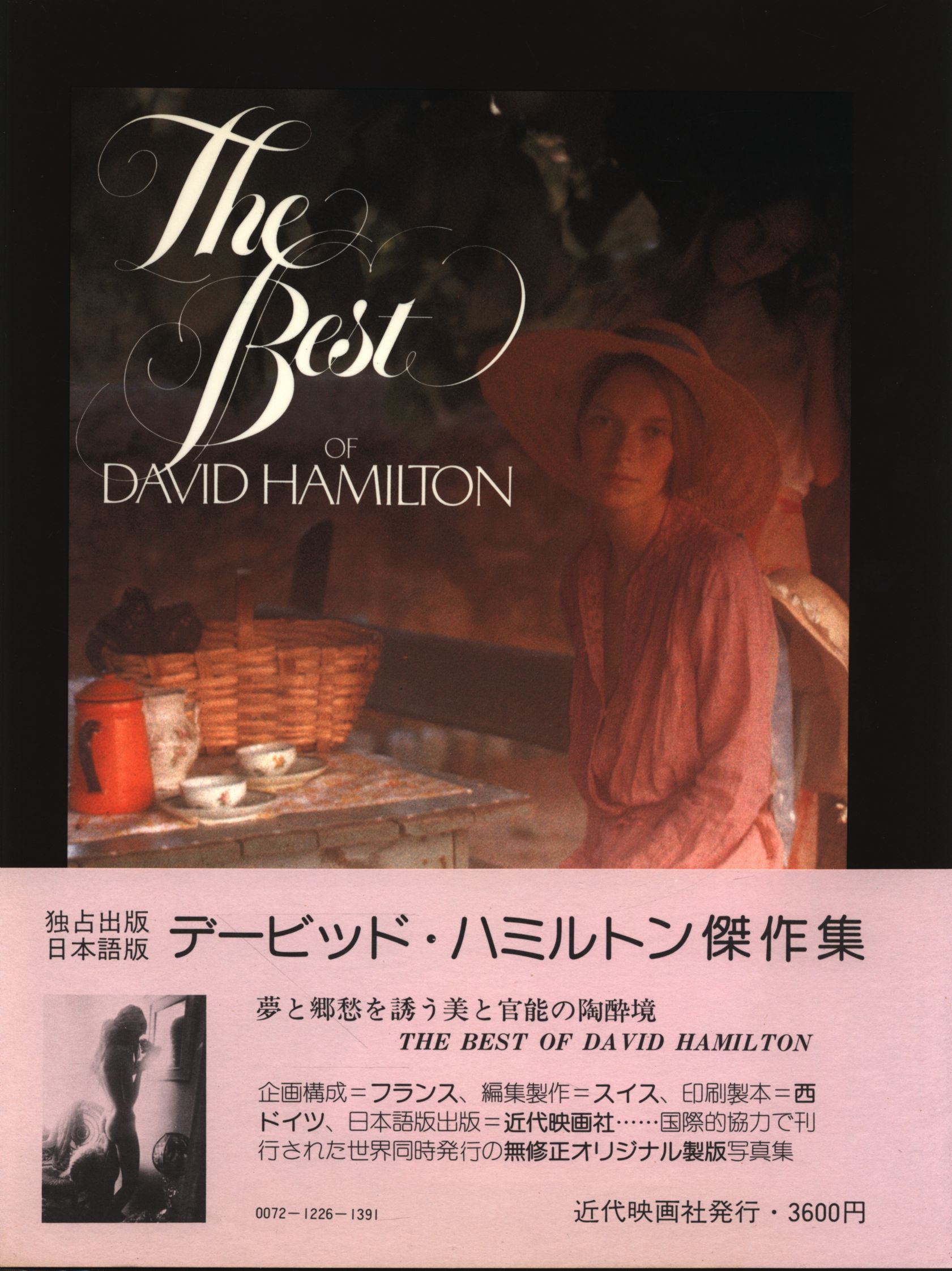 愛用 Best 【希少】The of Hamilton 日本語版 写真集 David アート