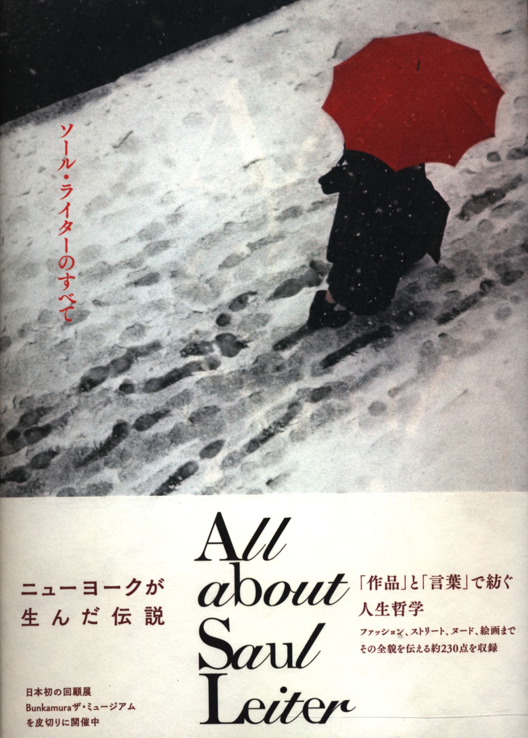 ソール ライター All About Saul Leiter ソール ライターのすべて まんだらけ Mandarake ソール ライター All About Saul Leiter ソール ライターのすべて まんだらけ Mandarake