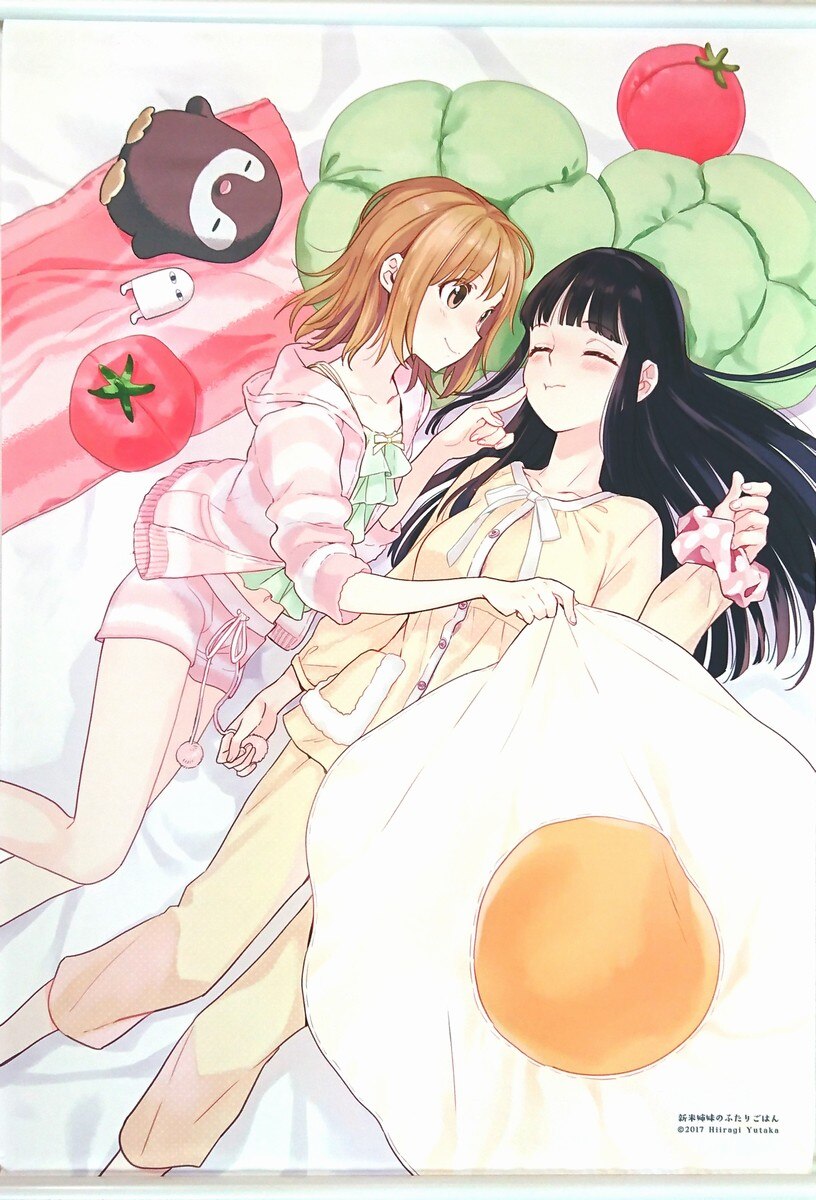 最新エルメス 柊ゆたか B2タペストリー サチ&あやり 新米姉妹のふたりごはん ゲーム・おもちゃ・グッズ