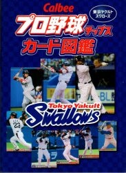 カルビープロ野球カード１９７３/竹書房/森美憲