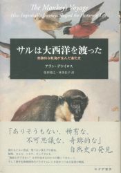 アラン・デケイロス
