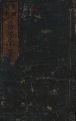 新井白蛾