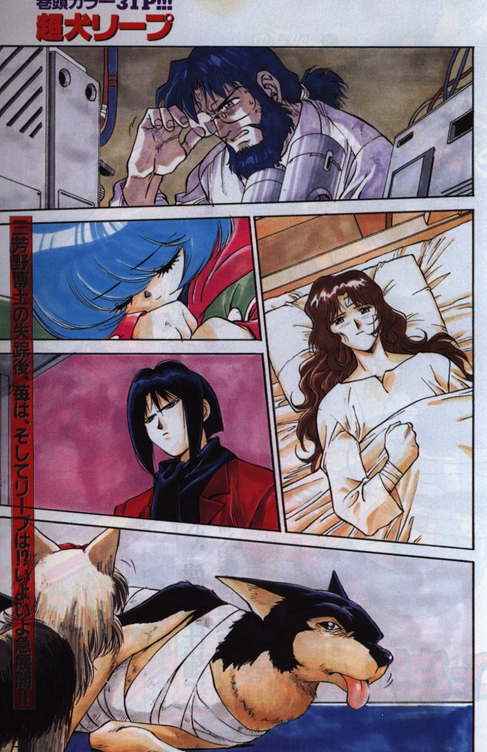 Comic gamma 1996 (Heisei Era 8 years) 02 30 | MANDARAKE 在线商店