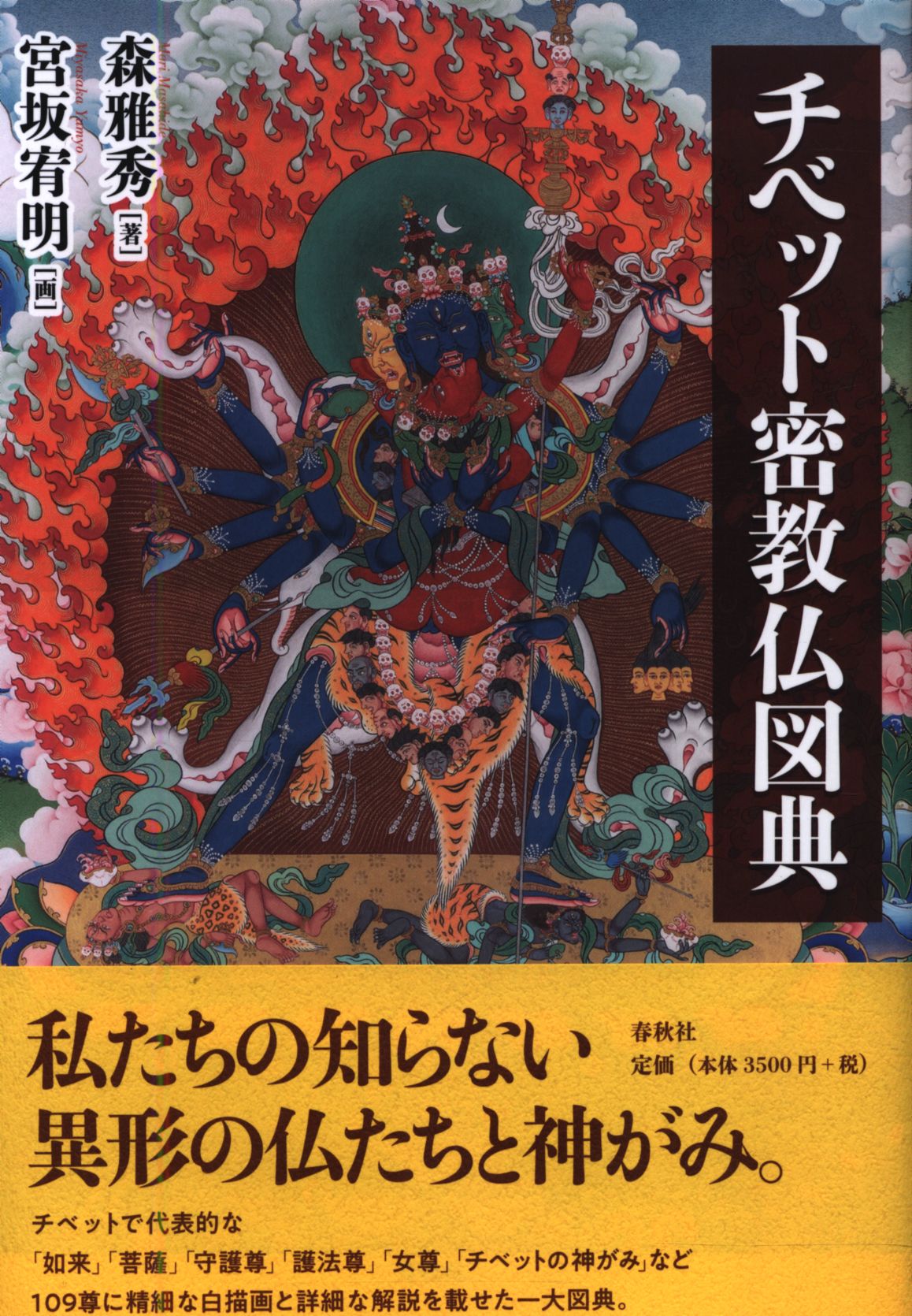 森雅秀 宮坂宥妙画 チベット密教仏画図典