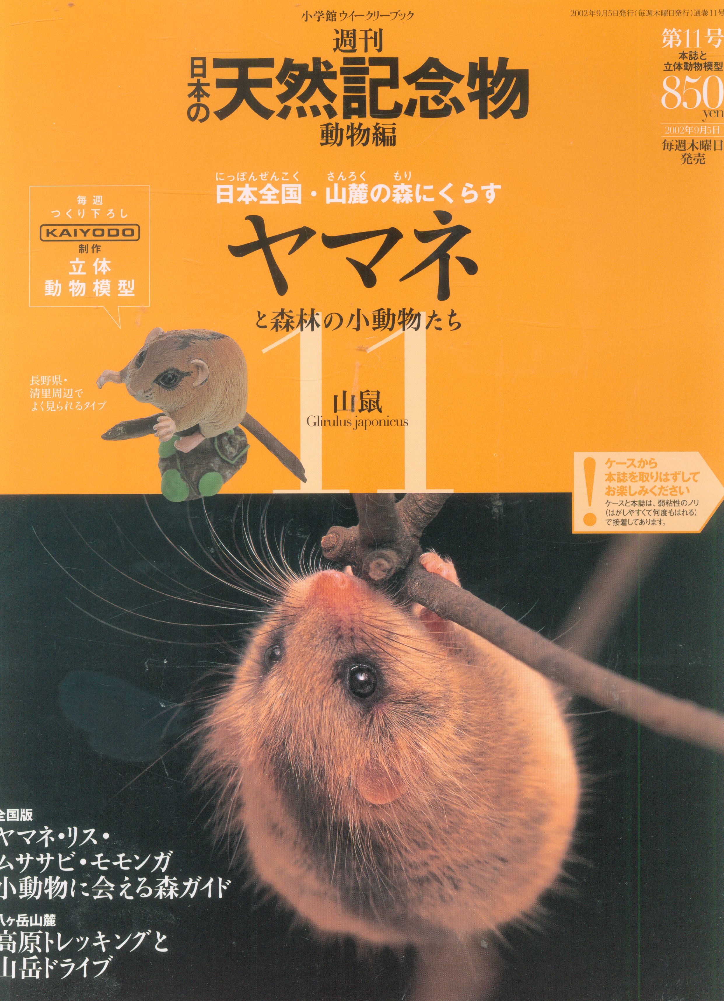 小学館 週刊日本の天然記念物 動物編 ヤマネ 11 まんだらけ Mandarake 小学館 週刊日本の天然記念物 動物編 ヤマネ 11 まんだらけ Mandarake