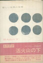 新しい世界の文学 35