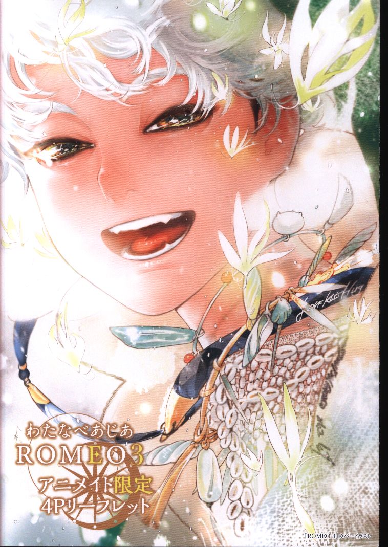 マガジン マガジン 書店配布 ジュネットコミックス ピアスシリーズ わたなべあじあ Romeo アニメイト限定4pリーフレット 3 まんだらけ Mandarake