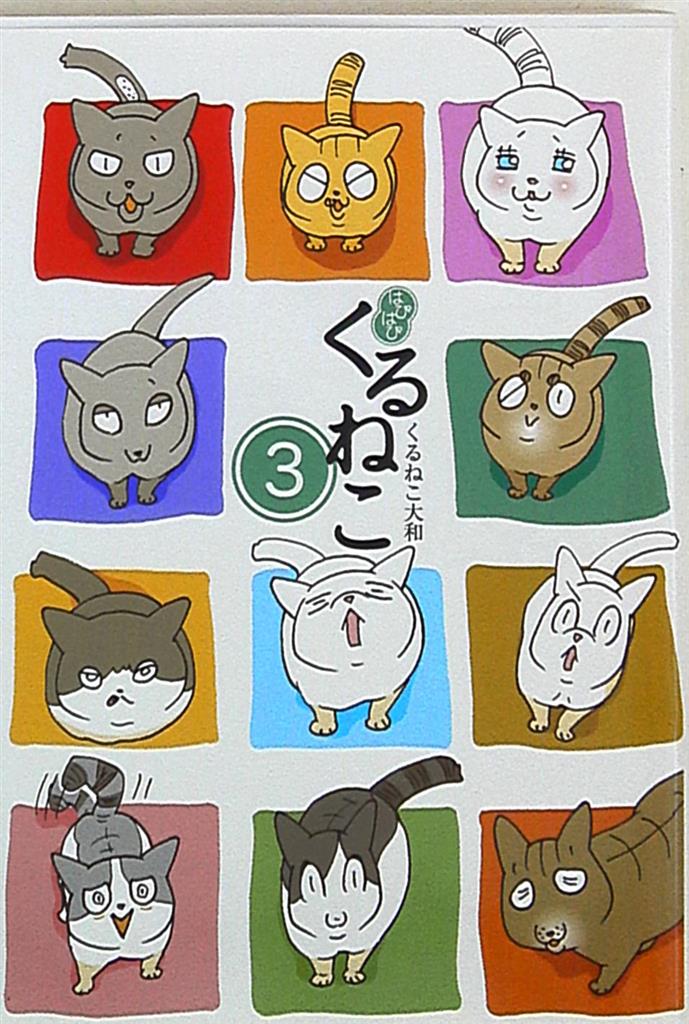 Kadokawa くるねこ大和 はぴはぴくるねこ 3 まんだらけ Mandarake