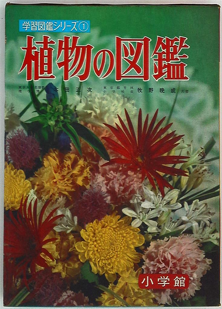 まんだらけ通販 mandarake