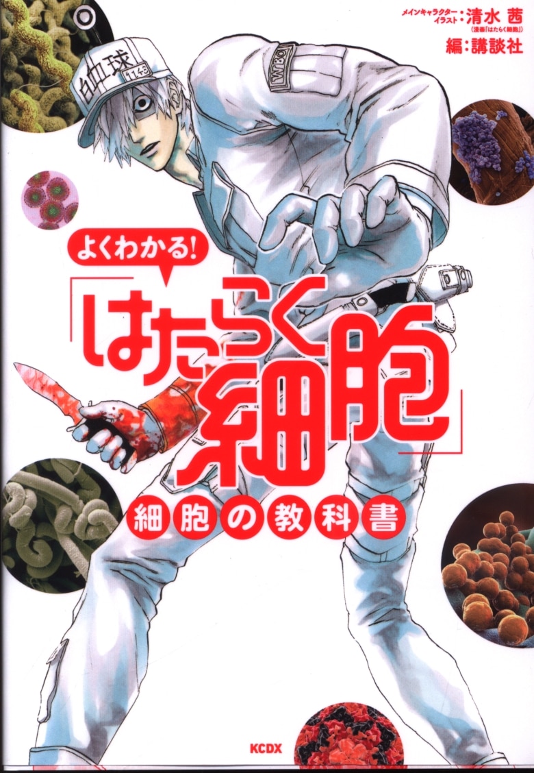 講談社 シリウスkc よくわかる はたらく細胞 細胞の教科書 まんだらけ Mandarake