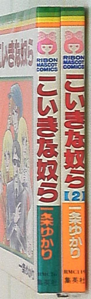 こいきな奴ら 全2巻 一条ゆかり 評判
