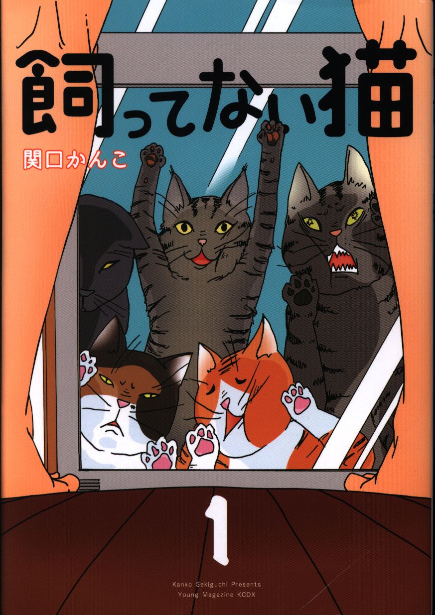 講談社 Dxkc 関口かんこ 飼ってない猫 1 まんだらけ Mandarake 講談社 Dxkc 関口かんこ 飼ってない猫 1 まんだらけ Mandarake