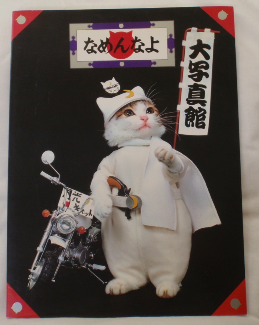 【数々のアワードを受賞】 シンコーミュージック なめ猫 まんだらけ | なめんなよ大写真館 アート・デザイン・音楽