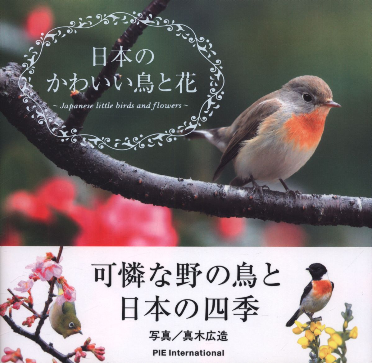 真木広造 日本のかわいい鳥と花 まんだらけ Mandarake 真木広造 日本のかわいい鳥と花 まんだらけ Mandarake