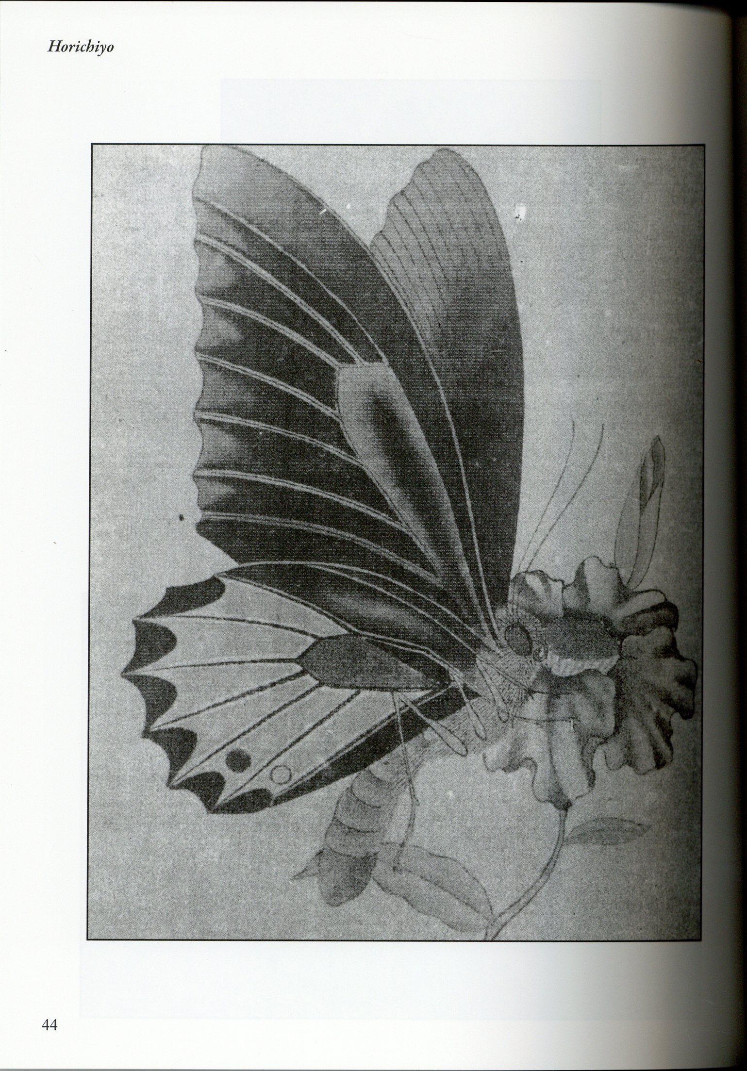 Horichiyo Beauty and Violence HORICHIYO Ambassador of the Japanese Tat