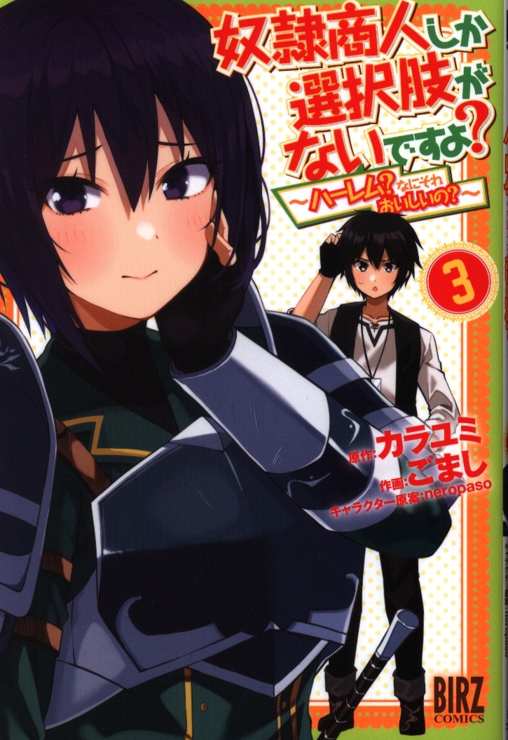 幻冬舎 バーズコミックス ごまし 奴隷商人しか選択肢がないですよ ハーレム なにそれおいしいの 3 まんだらけ Mandarake