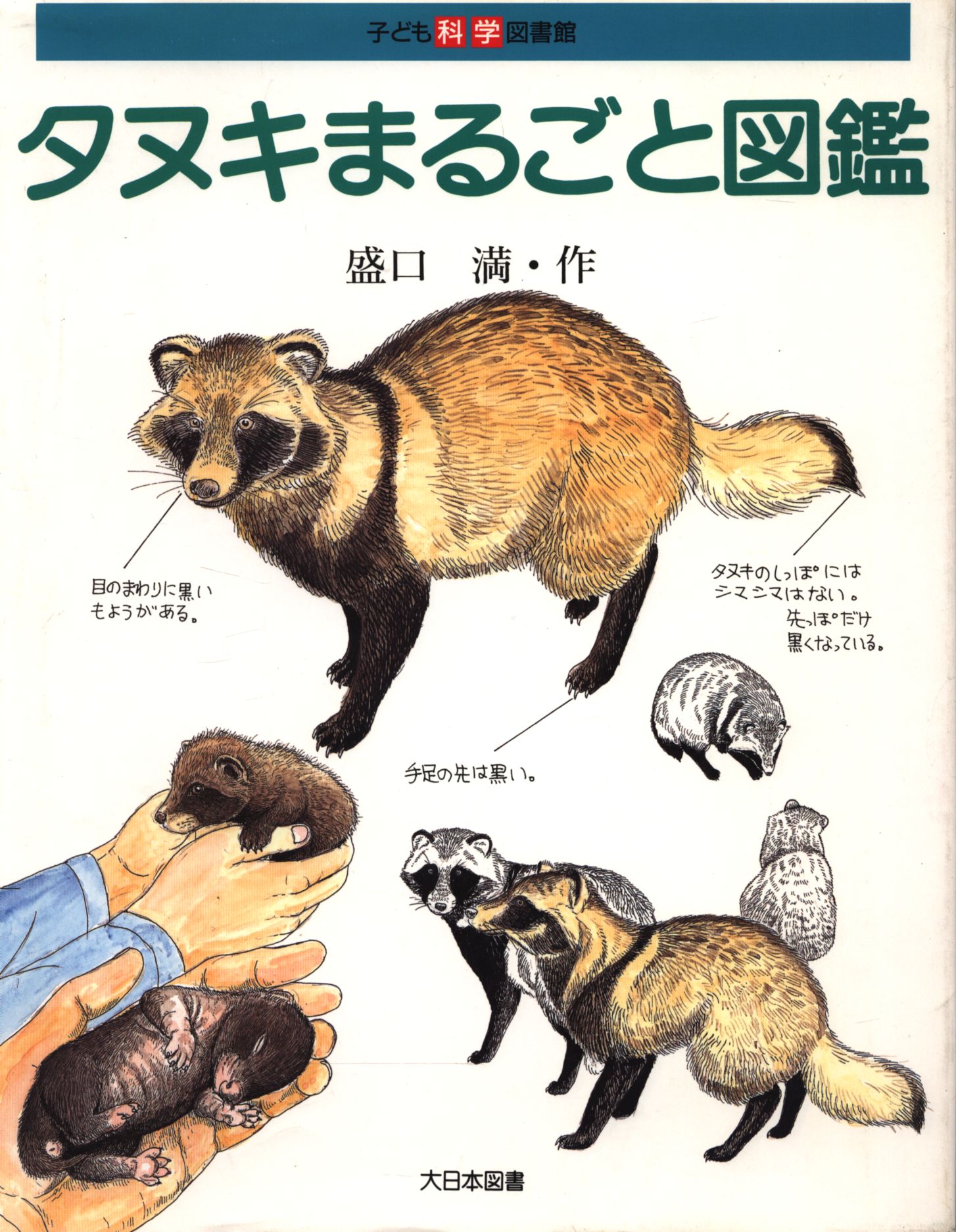 子ども科学図書館 盛口満 タヌキまるごと図鑑 まんだらけ Mandarake 子ども科学図書館 盛口満 タヌキまるごと図鑑 まんだらけ Mandarake
