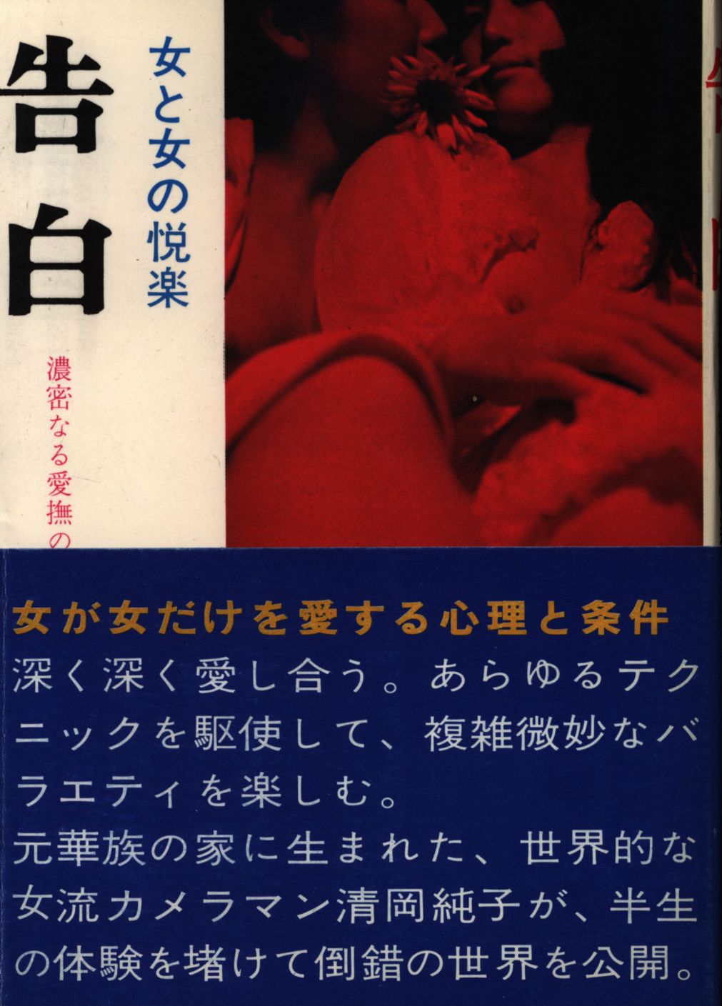 清岡純子 白薔薇 無修正 清岡 純子 作品 雑誌