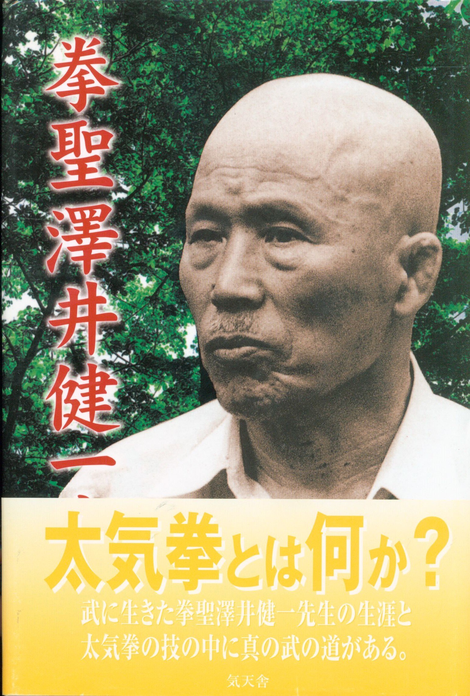 佐藤嘉道 拳聖澤井健一先生 まんだらけ Mandarake