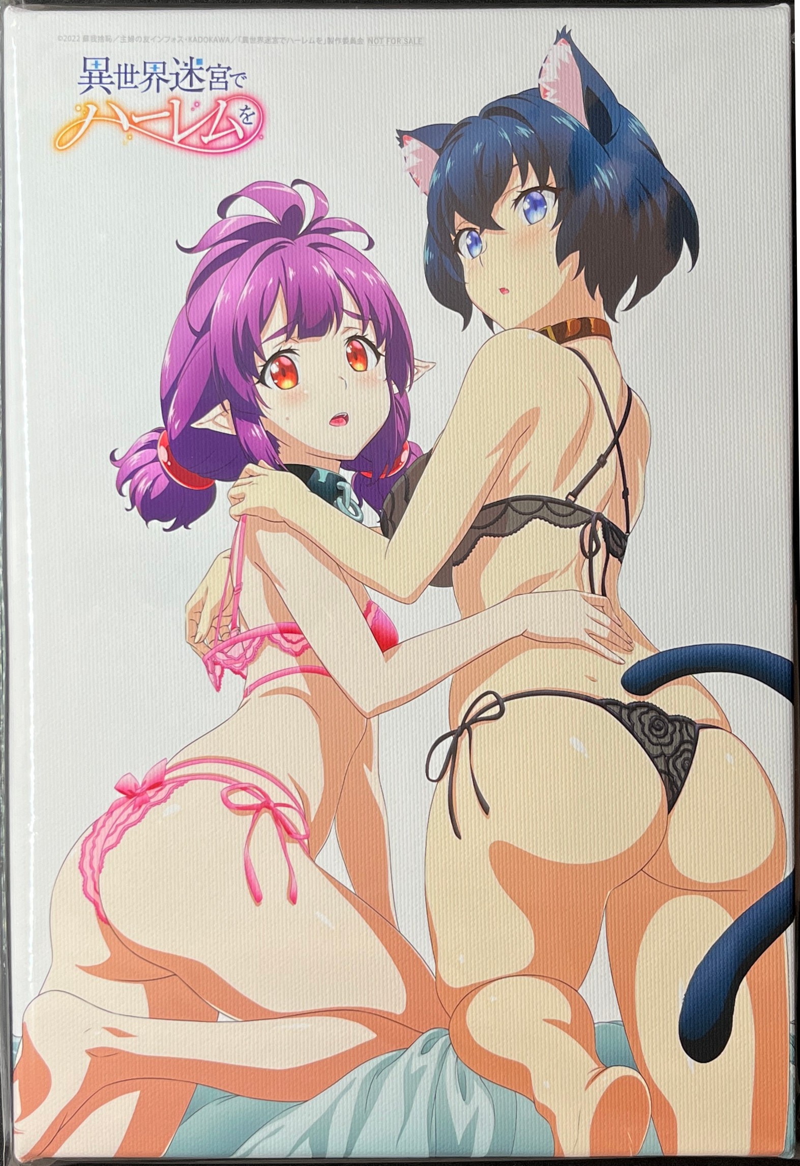 New Harem in the Labyrinth of Another World Blu-ray Box Vol.2