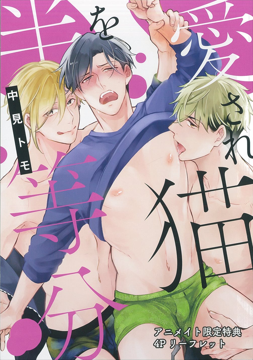 Julian Publishing Bookstore Distribution/G-Lish Comics Nakami Tomo: Beloved Cat Divided in Half Animate Limited 4P Leaflet