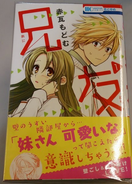 白泉社 花とゆめコミックス 赤瓦もどむ 兄友 全10巻 セット まんだらけ Mandarake