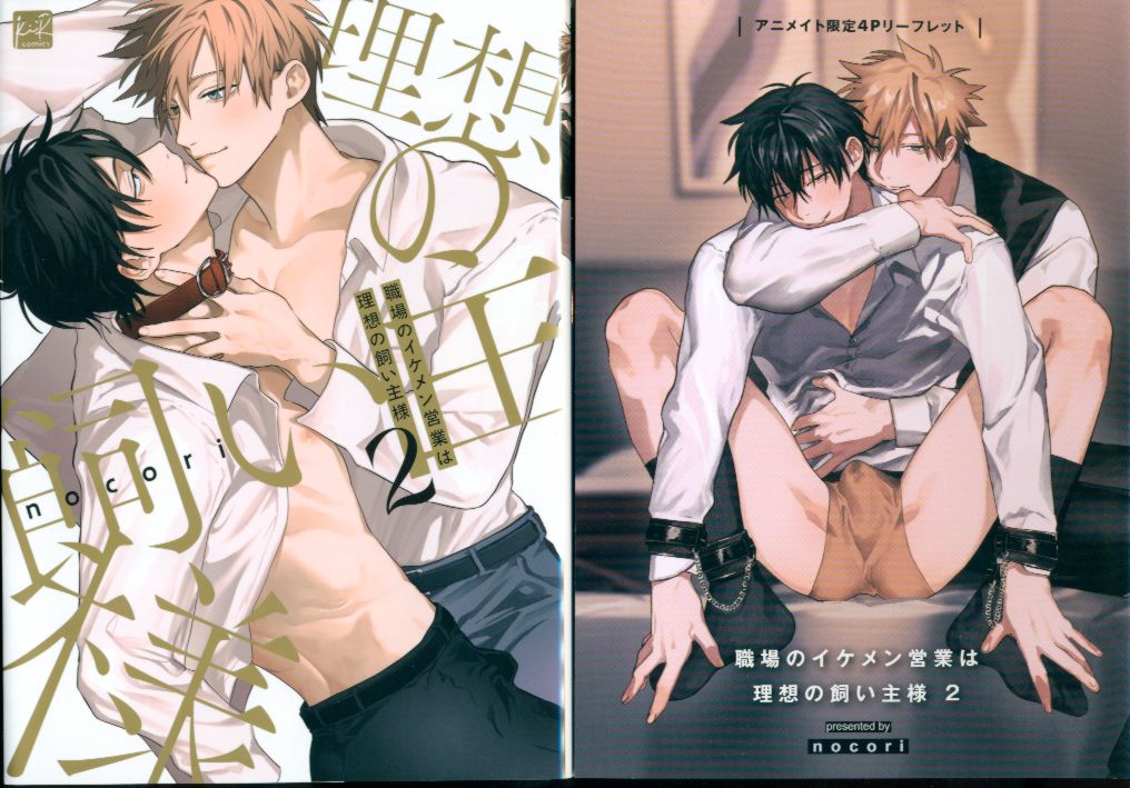 Sankosha KiR Comics Nocori The Handsome Man at Work Sales Is the Ideal Owner Animate Limited Edition 4P Leaflet Included 2