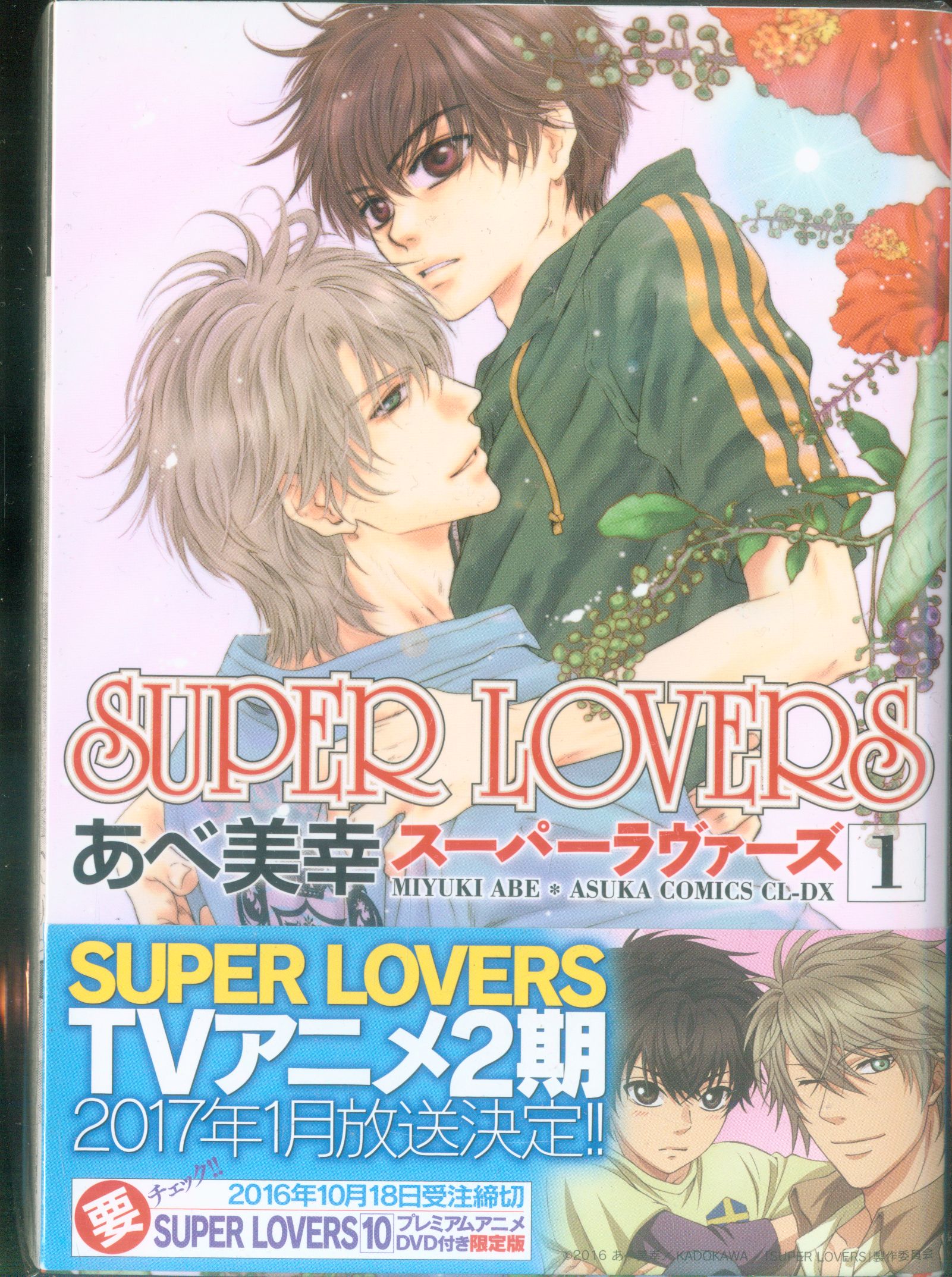 Kadokawa あすかコミックスcl Dx あべ美幸 Super Lovers 1 13巻 セット まんだらけ Mandarake