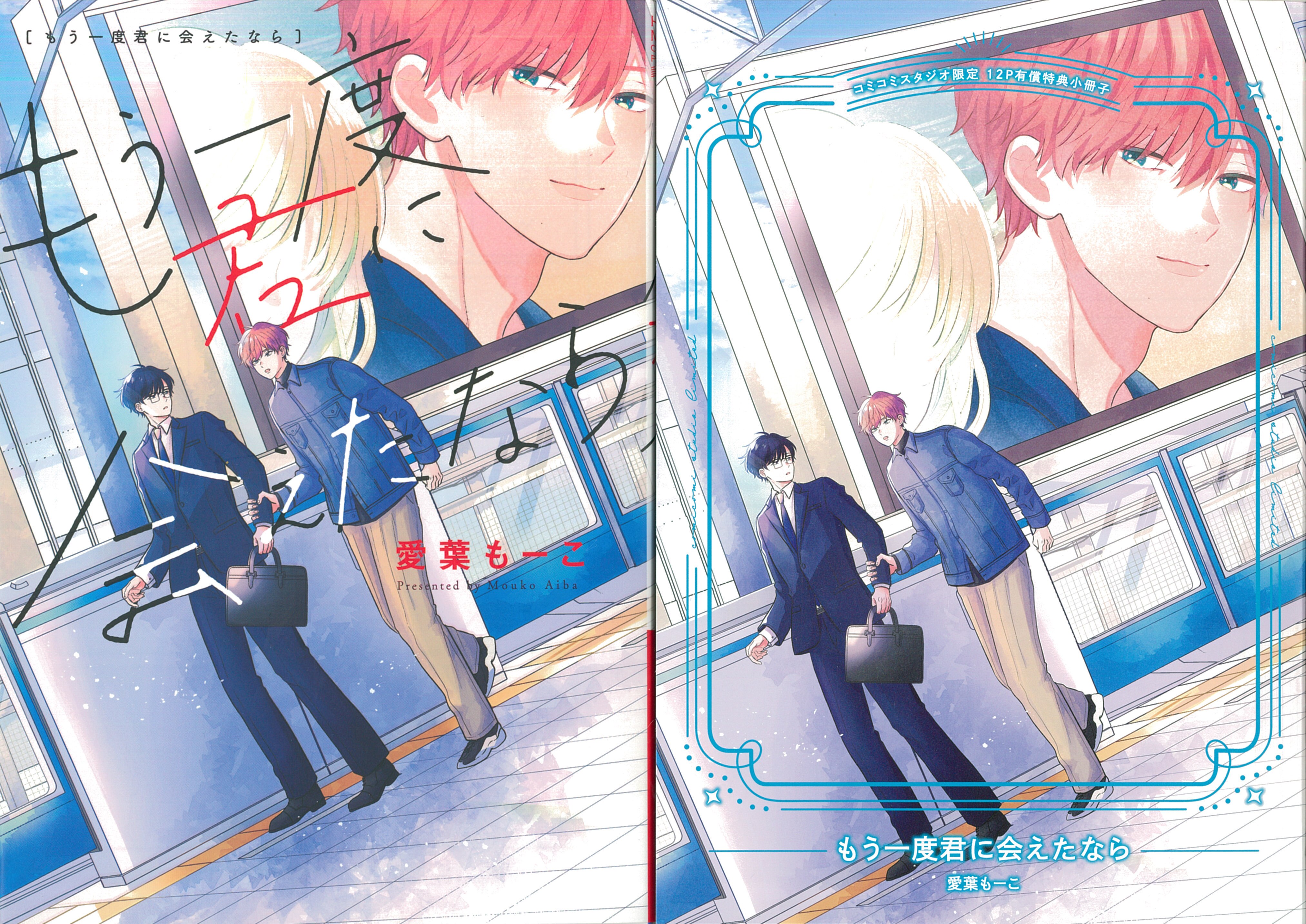 Hakusensha Hanamaru Comics Aiba Moko If I Could See You Again Comic Comic Limited 12P Booklet Included
