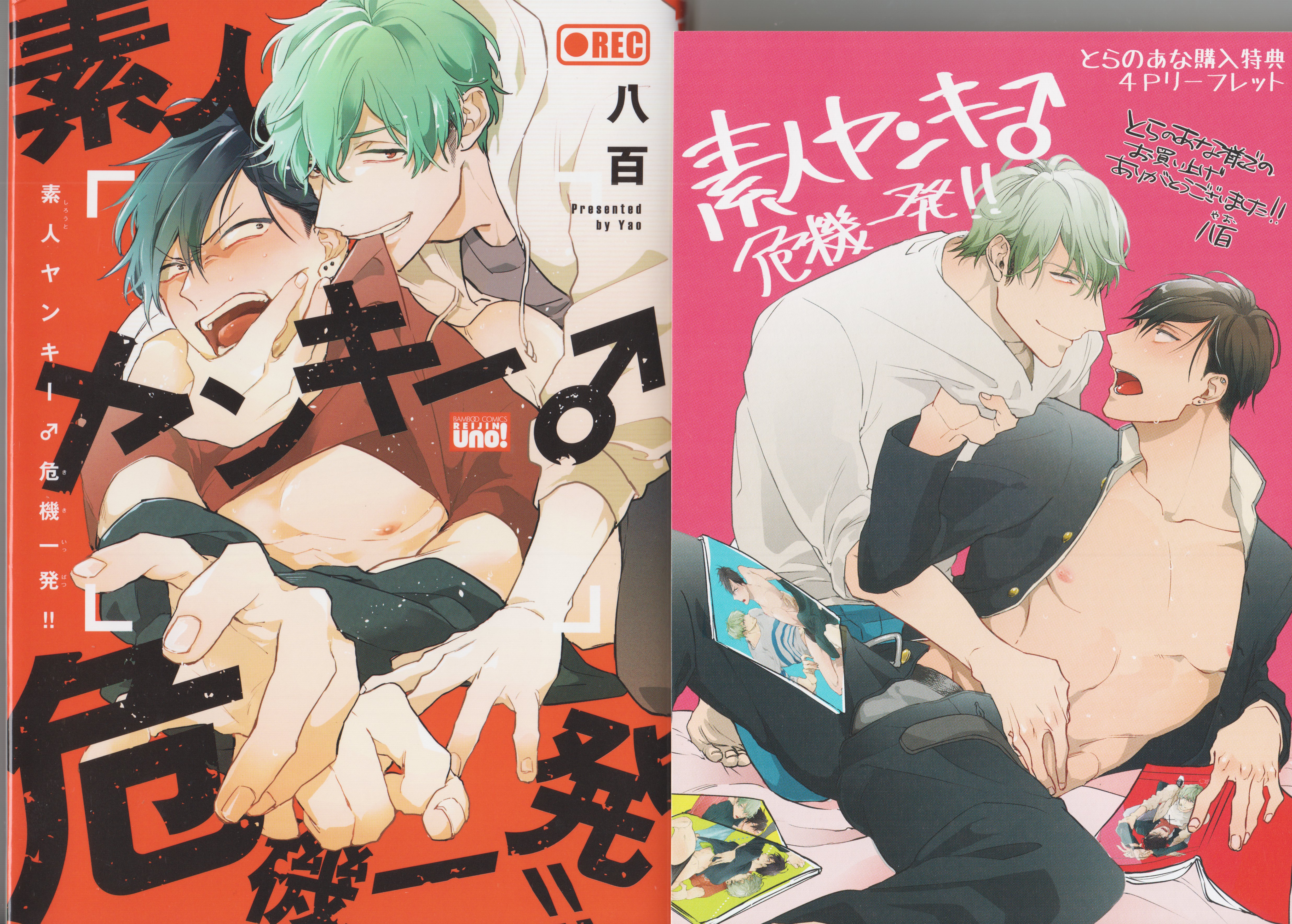 Takeshobo Bamboo Comics/Beauty Uno! 800 amateur Yankee crisis one shot!! Toranoana limited edition 4P leaflet included