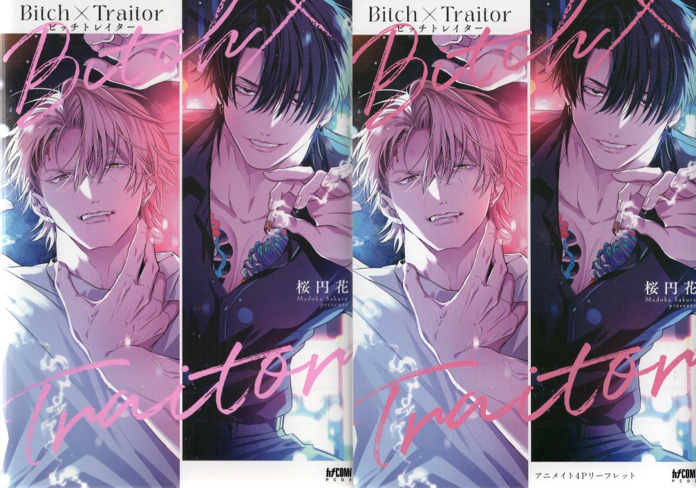 Akita Shoten Princess Comics DX Kachi Comi Sakura Madoka Bitch x Traitor Animate 4P with leaflet