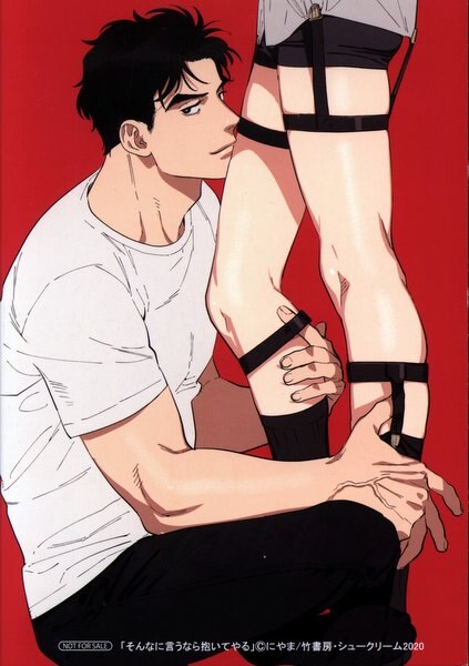 다케쇼보 서점 배급/뱀부 코믹스/모먼트 니야마 그 정도만 말하면 애니메이트 한정 4P 리플렛