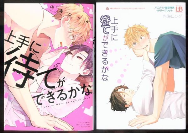 幻冬舎 バーズコミックス ラブキスボーイズコレクション 内海ロング 上手に待てができるかな アニメイト限定4pリーフレット付 まんだらけ Mandarake