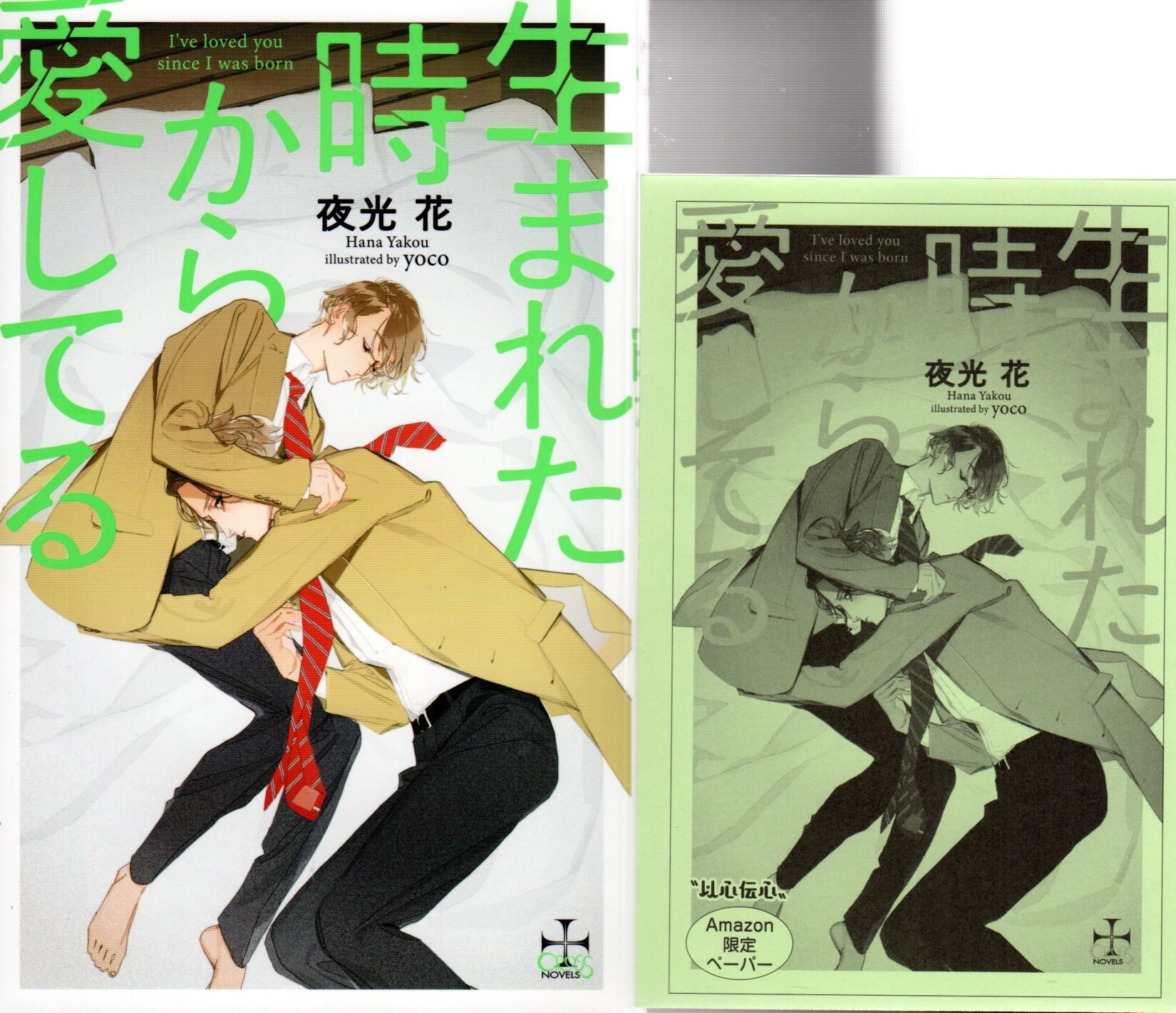 Kasakura Publishing Co., Ltd. Cross Novels: Night Light Hana I've Loved You Since I Was Born with Amazon SS