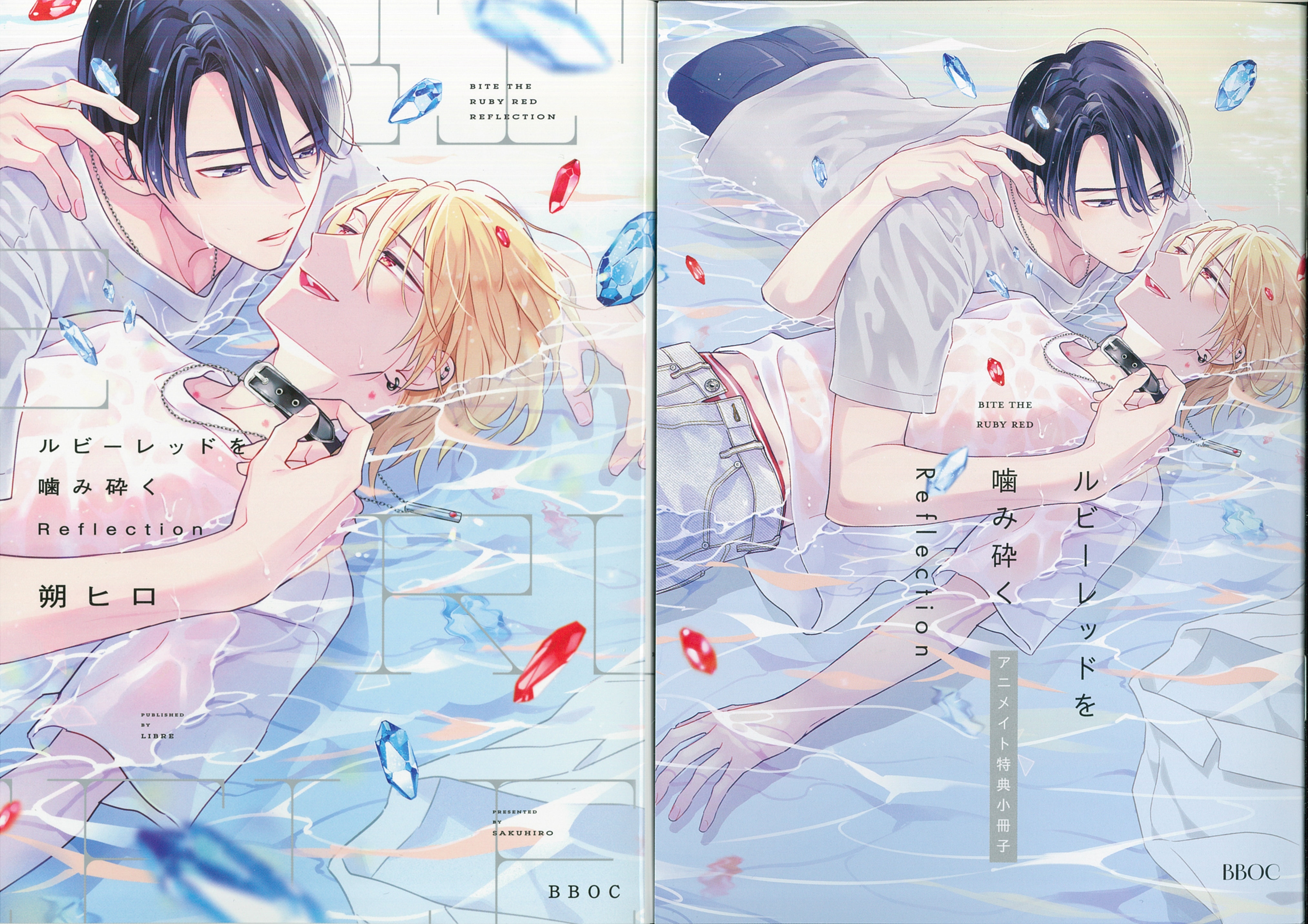 Libre Publishing BB Omega Birds Comics Saku Hiro Ruby Chewing Red Reflection Animate Limited 12P Booklet Included