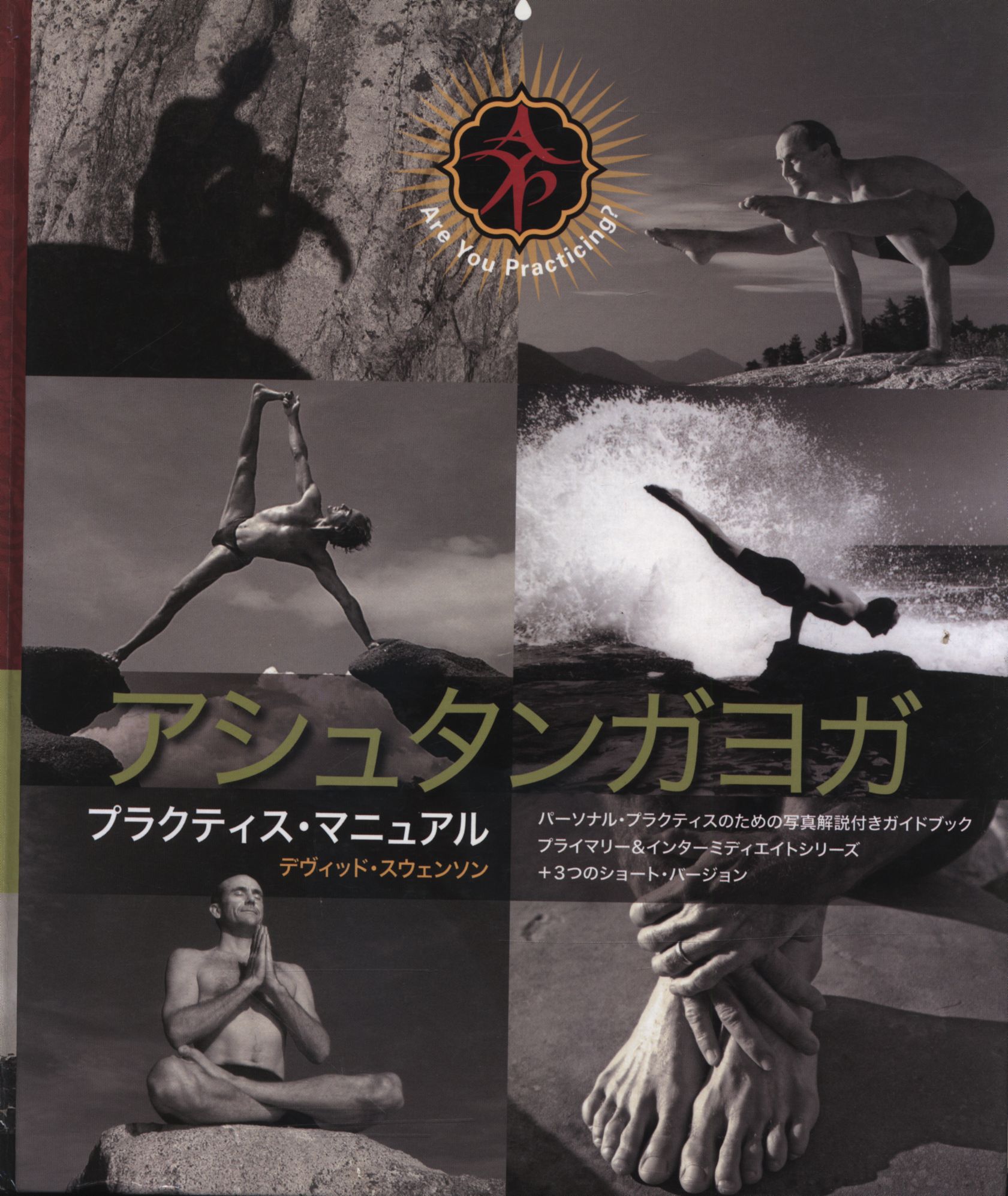 アシュタンガヨガ プラクティスマニュアル 日本語訳 デヴィッド 