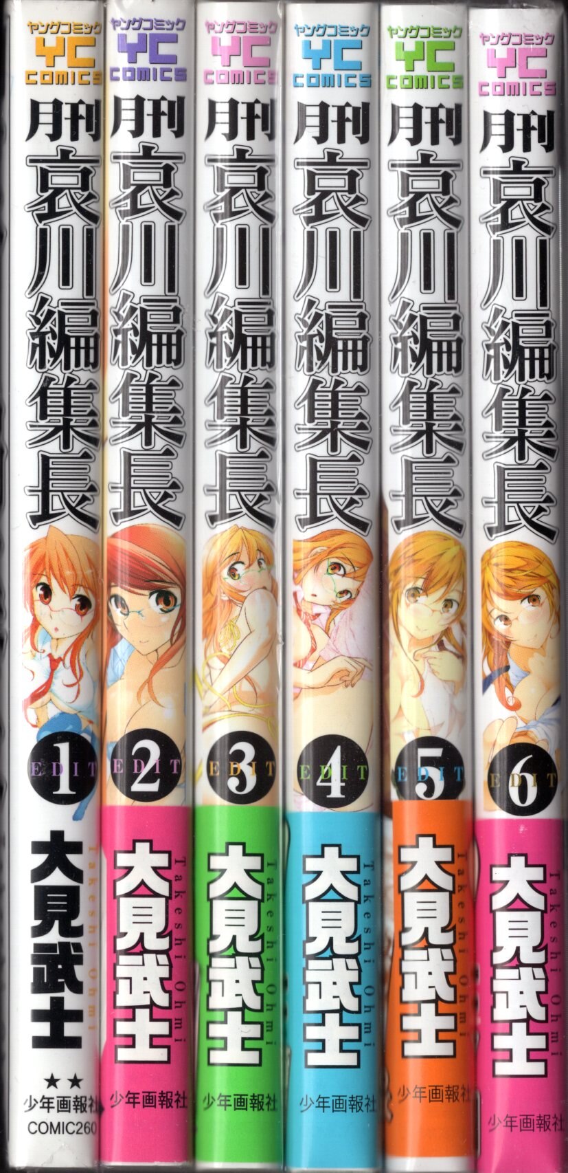 少年画報社 ヤングコミックス 大見武士 月刊哀川編集長全6巻 初版セット | まんだらけ Mandarake