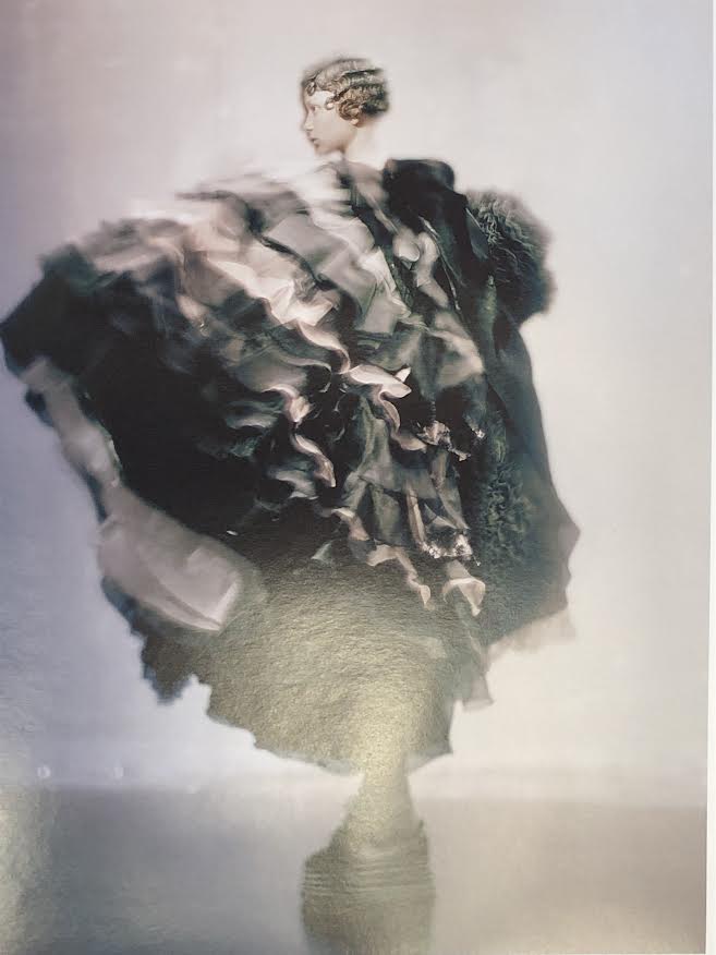 paolo roversi: birds — DALLAS CONTEMPORARY