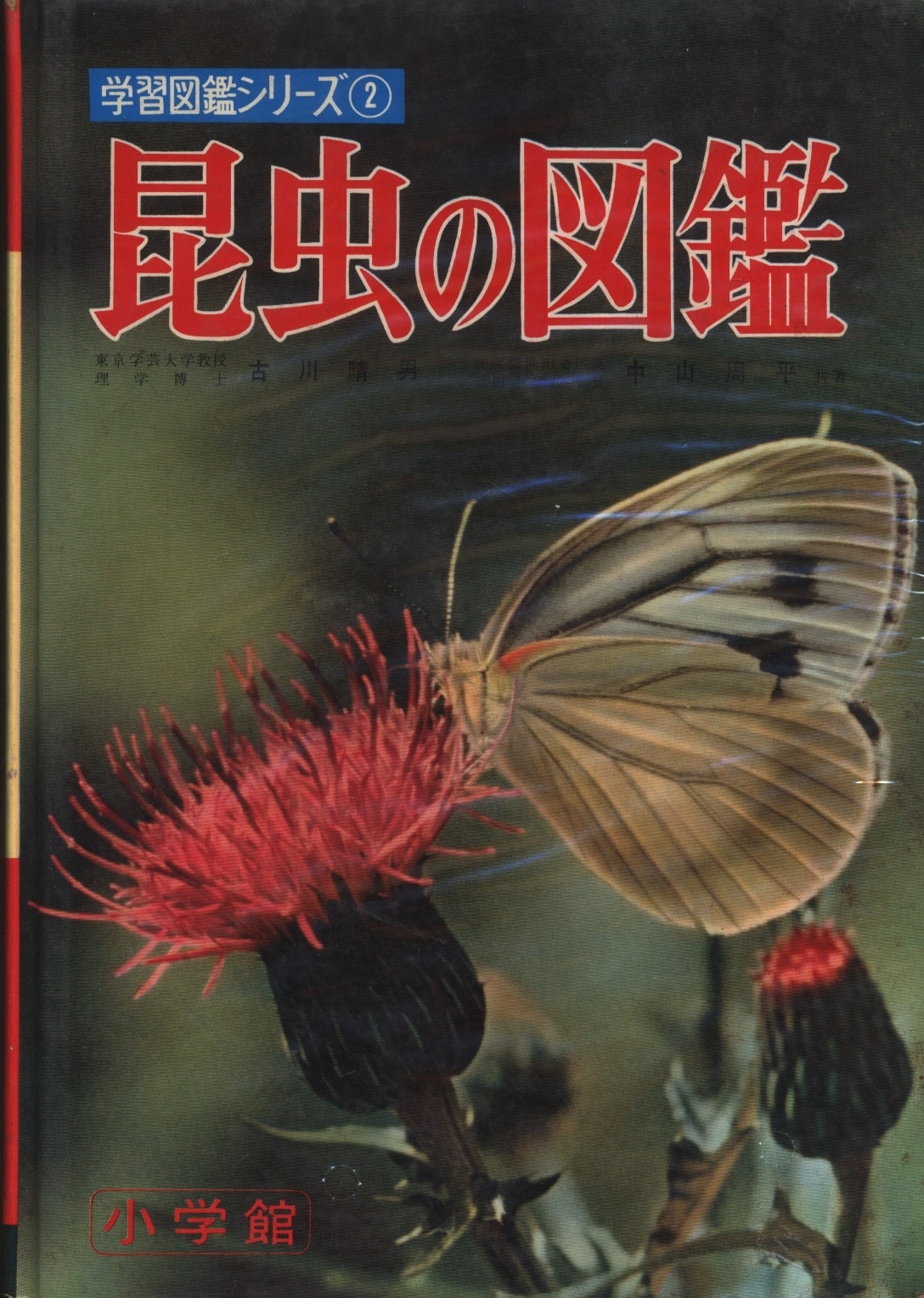 学習図鑑シリーズ2 昆虫の図鑑 - 参考書