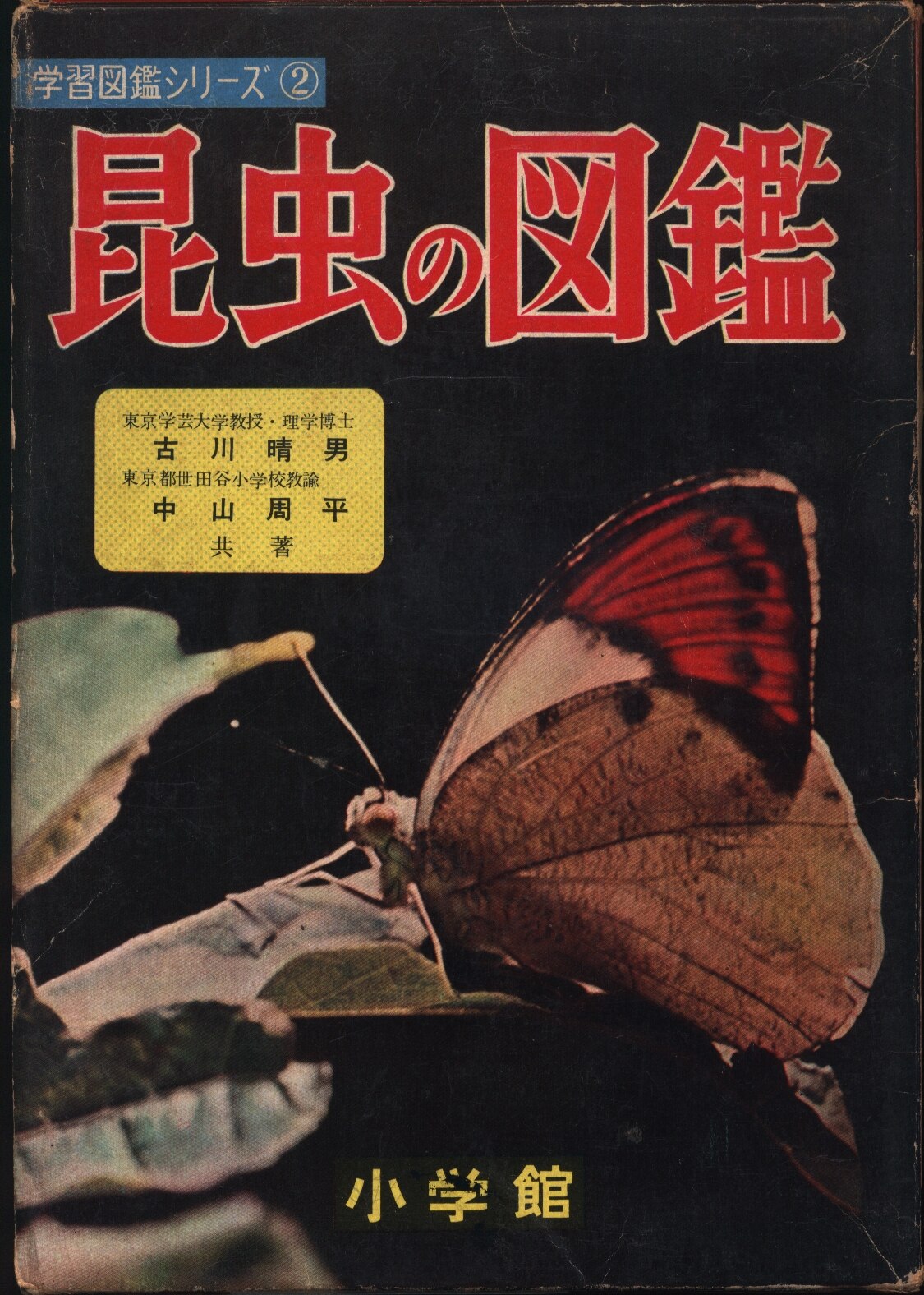 学習図鑑シリーズ2 昆虫の図鑑 - 参考書