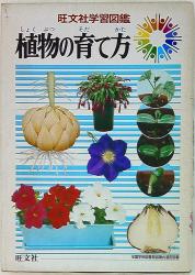 An illustration