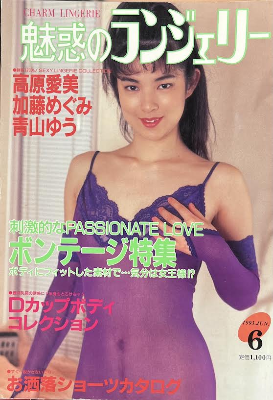 売れ筋 魅惑のランジェリー 1993年発行 光彩書房