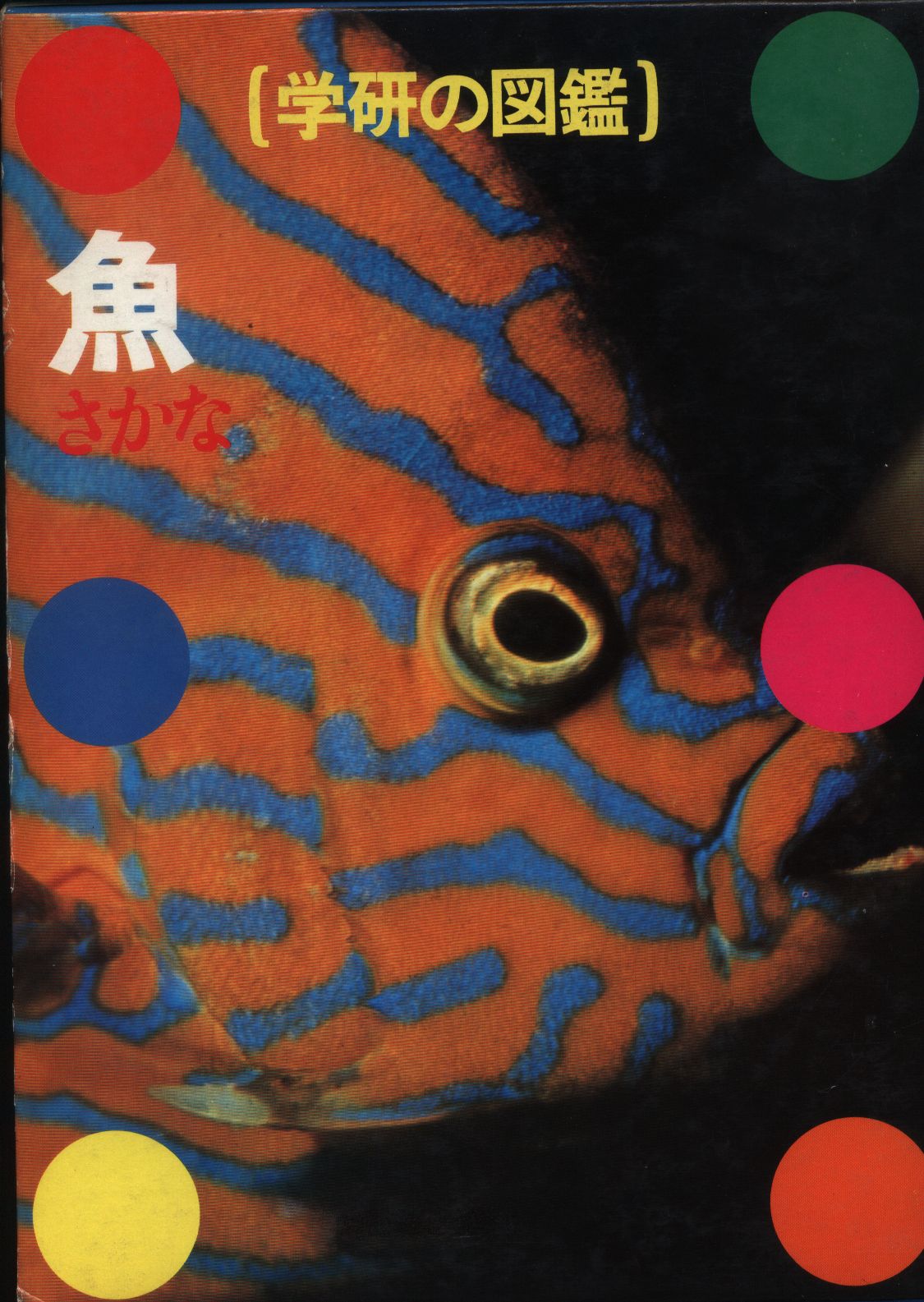新訂版学研の図鑑 4 魚 まんだらけ Mandarake