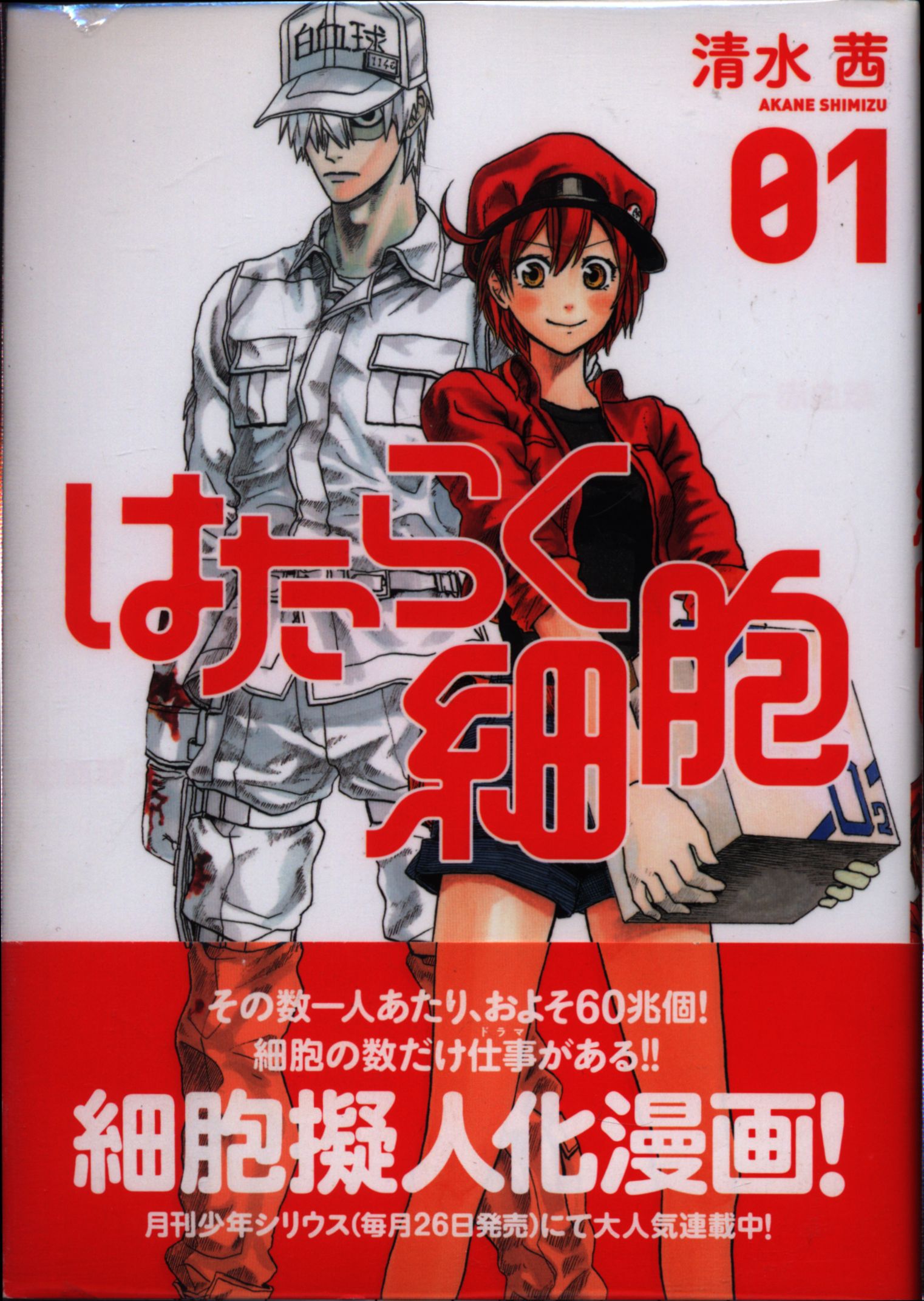 講談社 シリウスkc 清水茜 はたらく細胞 1 6巻 最新セット まんだらけ Mandarake