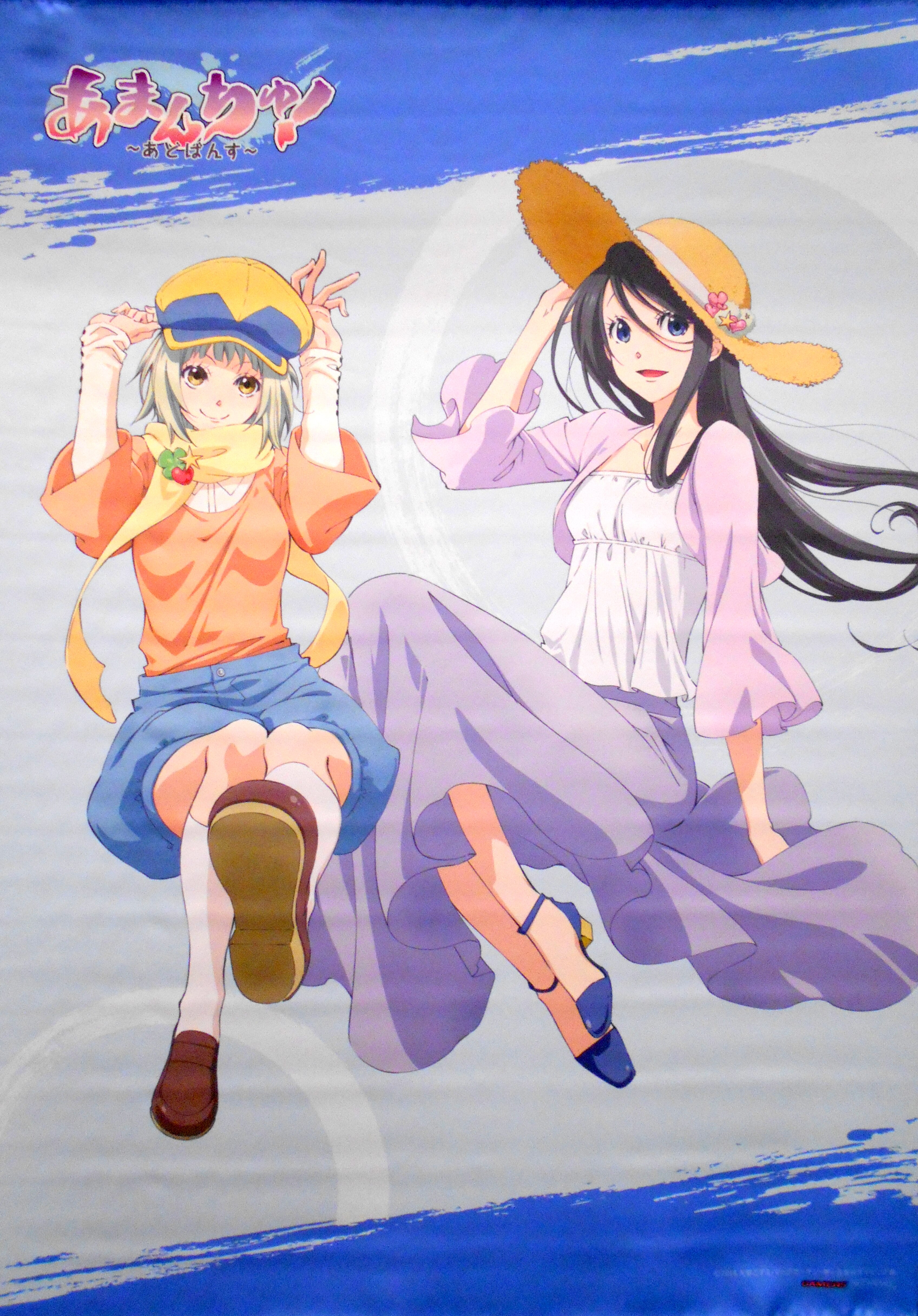 あまんちゅ あどばんす 全巻購入特典タペストリー ゲーマーズ まんだらけ Mandarake