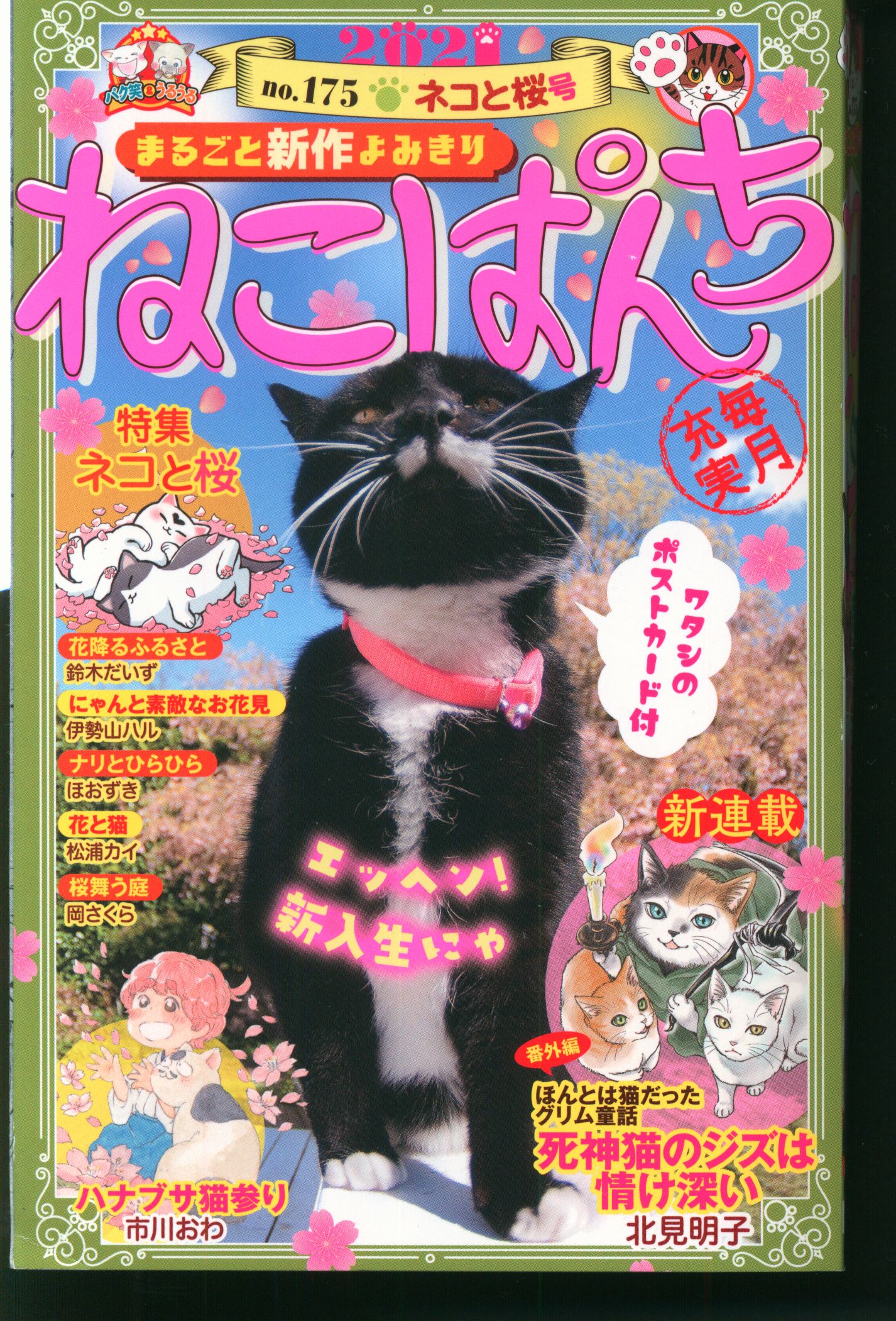 少年画報社 にゃんコミ アンソロジー ねこぱんち コンビニコミックス ...