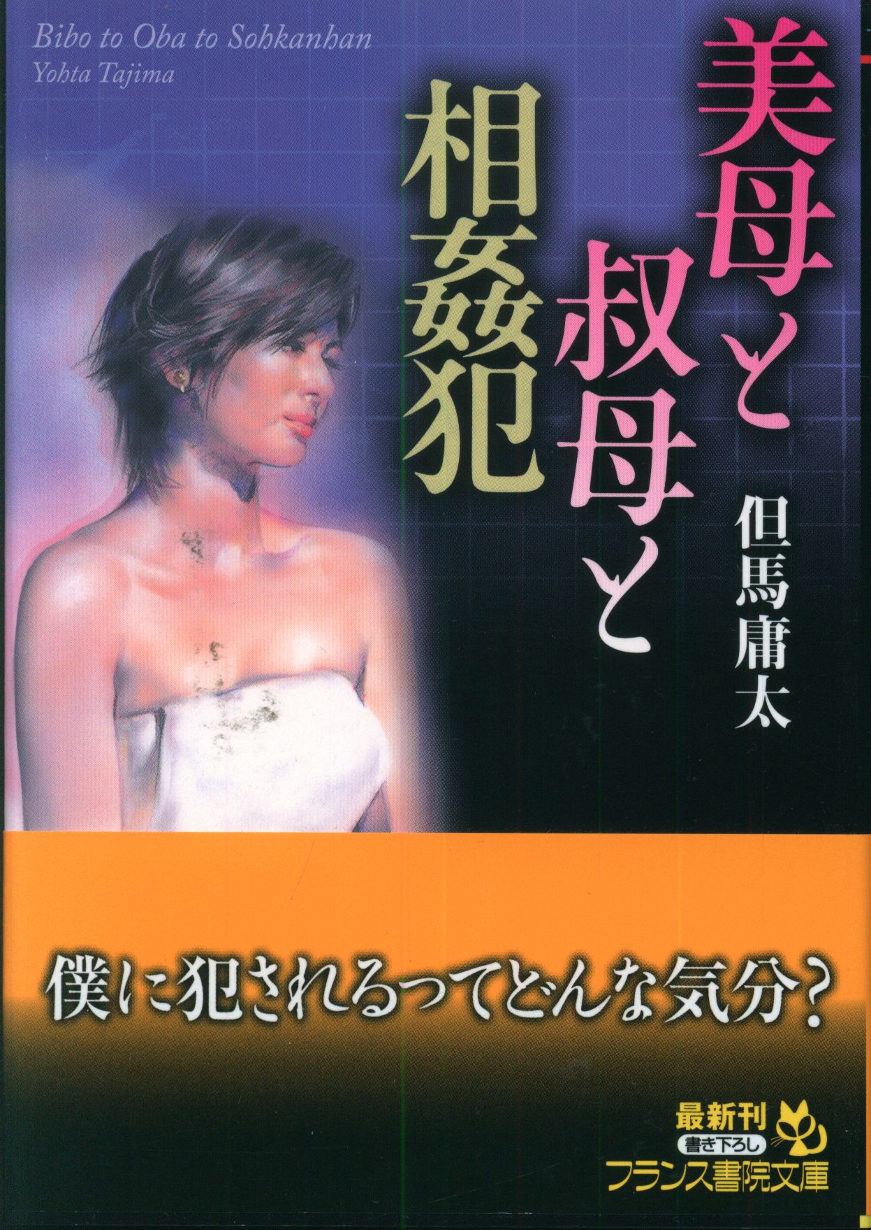 フランス書院文庫まとめ売り④◇古本まとめて/未検品未清掃/ノー