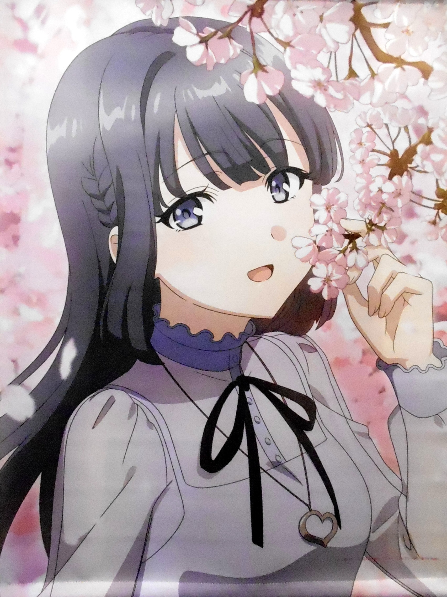seishun buta yarou do not see the dream of sno
