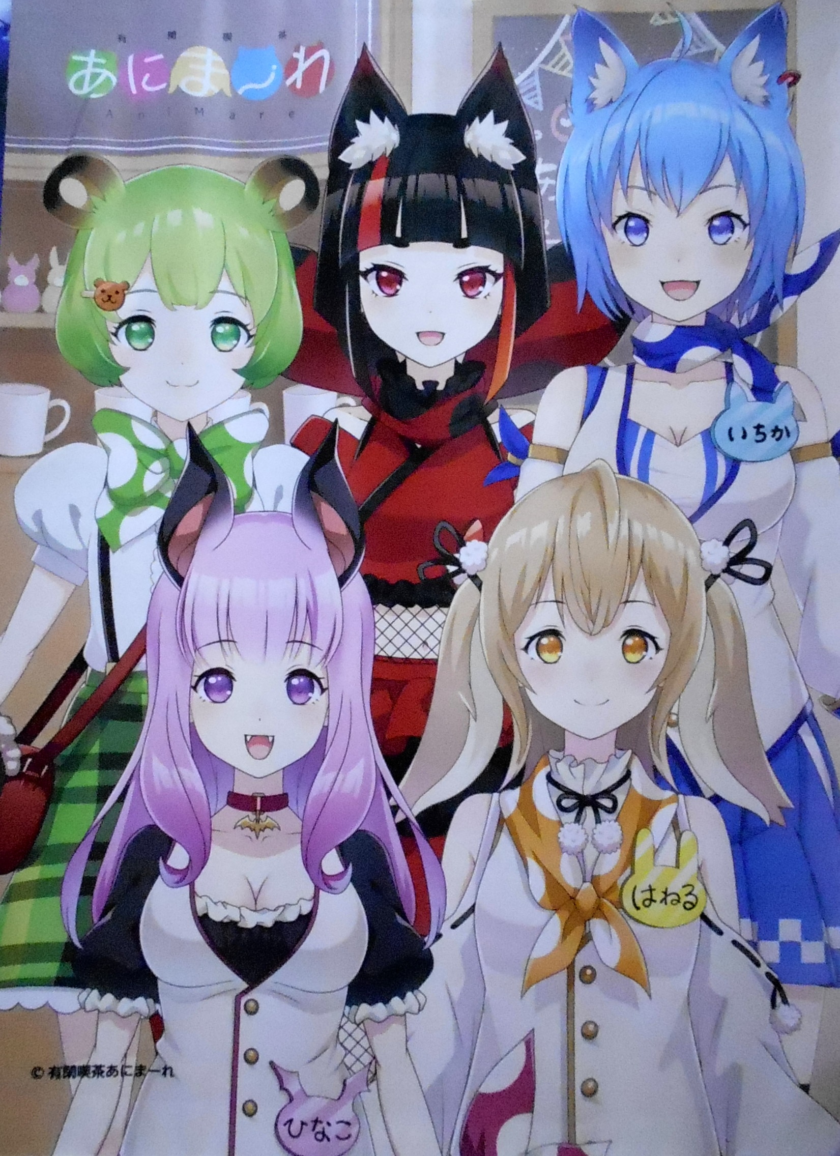 The Leisure Cafe Animare C95 Limited Tapestry MANDARAKE the-leisure-cafe-animare-c95-limited-tapestry-mandarake